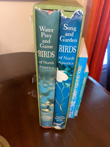 Image for Collection of (4) Bird Themed Books