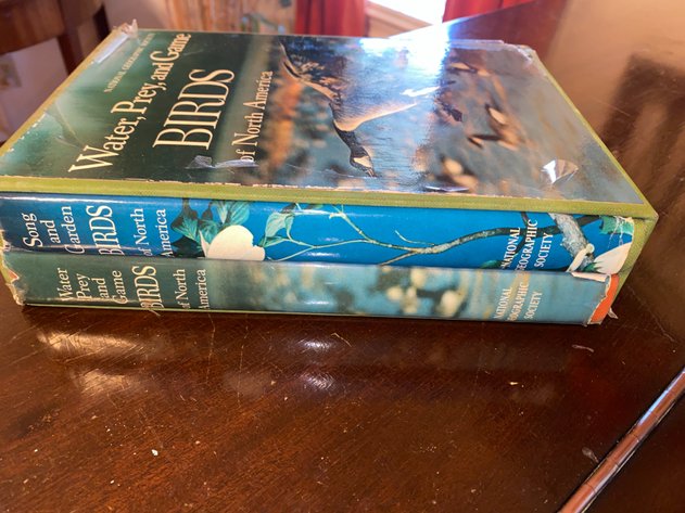 Image for Collection of (4) Bird Themed Books