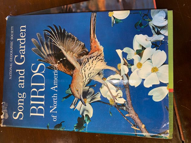 Image for Collection of (4) Bird Themed Books