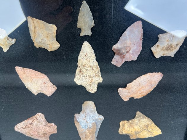 Image for (20) Quality Frame of Native American Projectile Points from the Deep South Including Kirk, Greenbrier & Other Quality Stemmed Points in Coastal Plains Chert & Milky Quartz