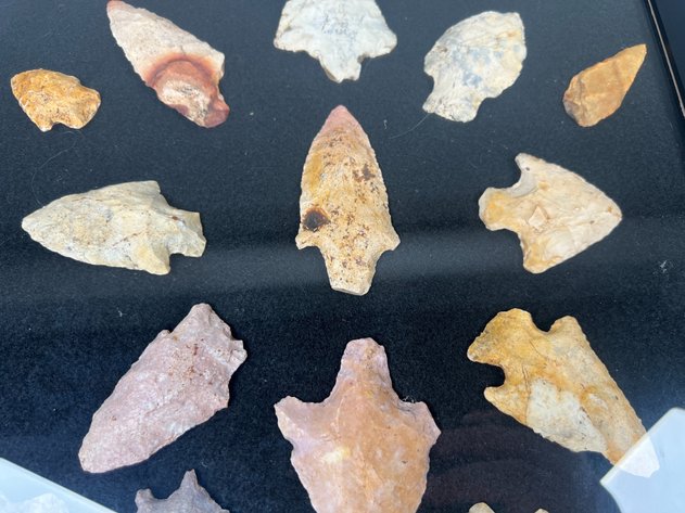 Image for (20) Quality Frame of Native American Projectile Points from the Deep South Including Kirk Corner Notch, Kirk, Abbey & Other Quality Stemmed Points in Coastal Plains Chert & Milky Quartz