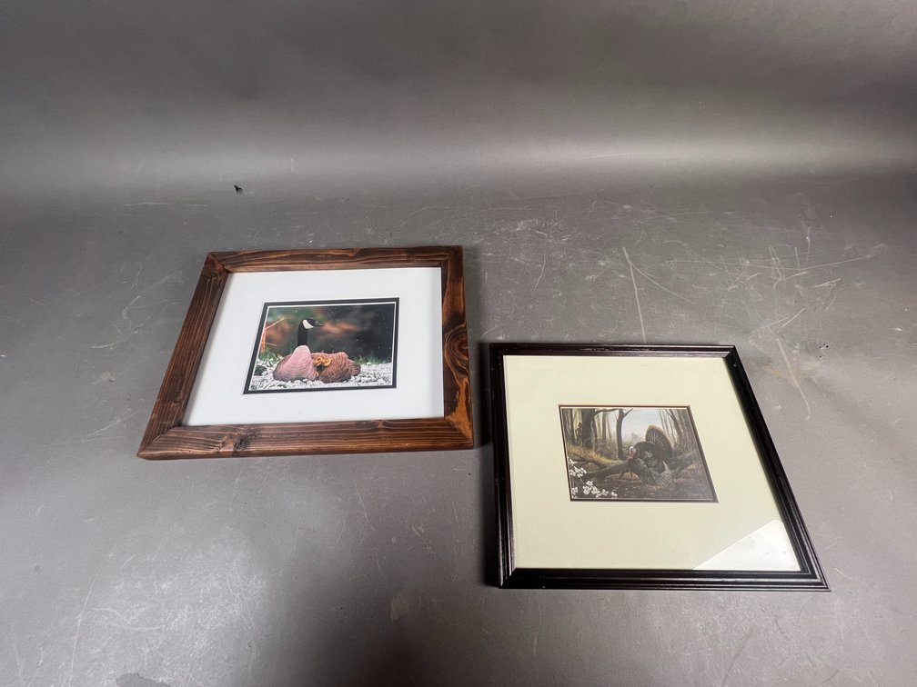 Framed Wildlife Art Prints, Including: Goose and Turkey