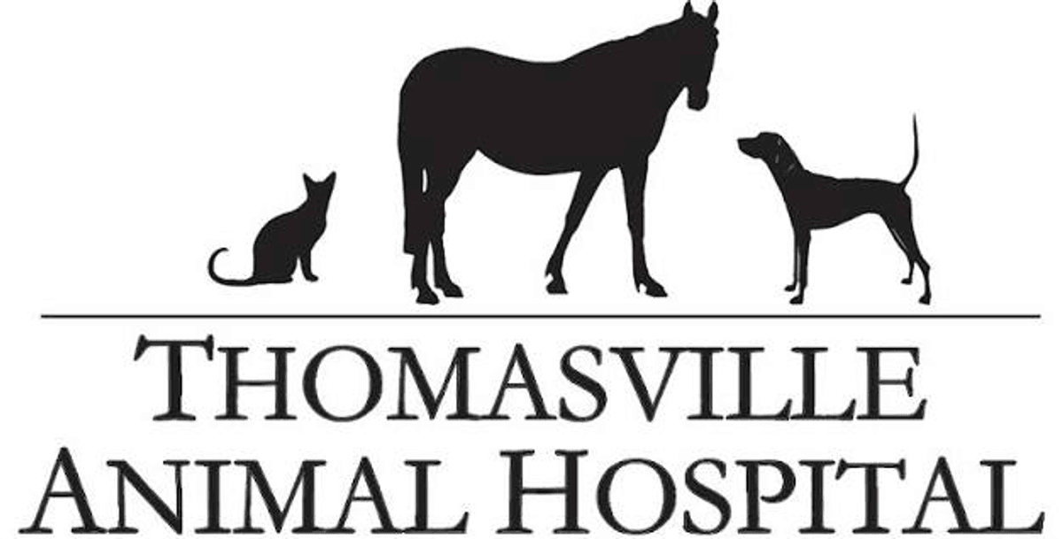 $100 at Thomasville Animal Hospital