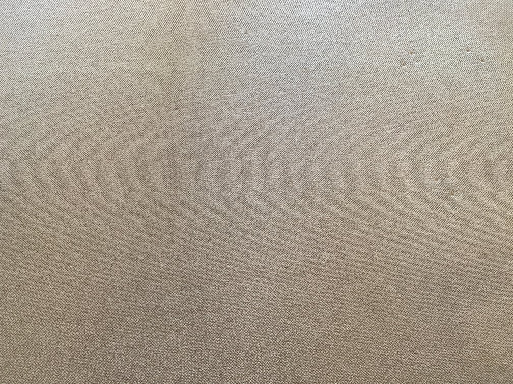 Large Tan Masland 100% Nylon Area Rug