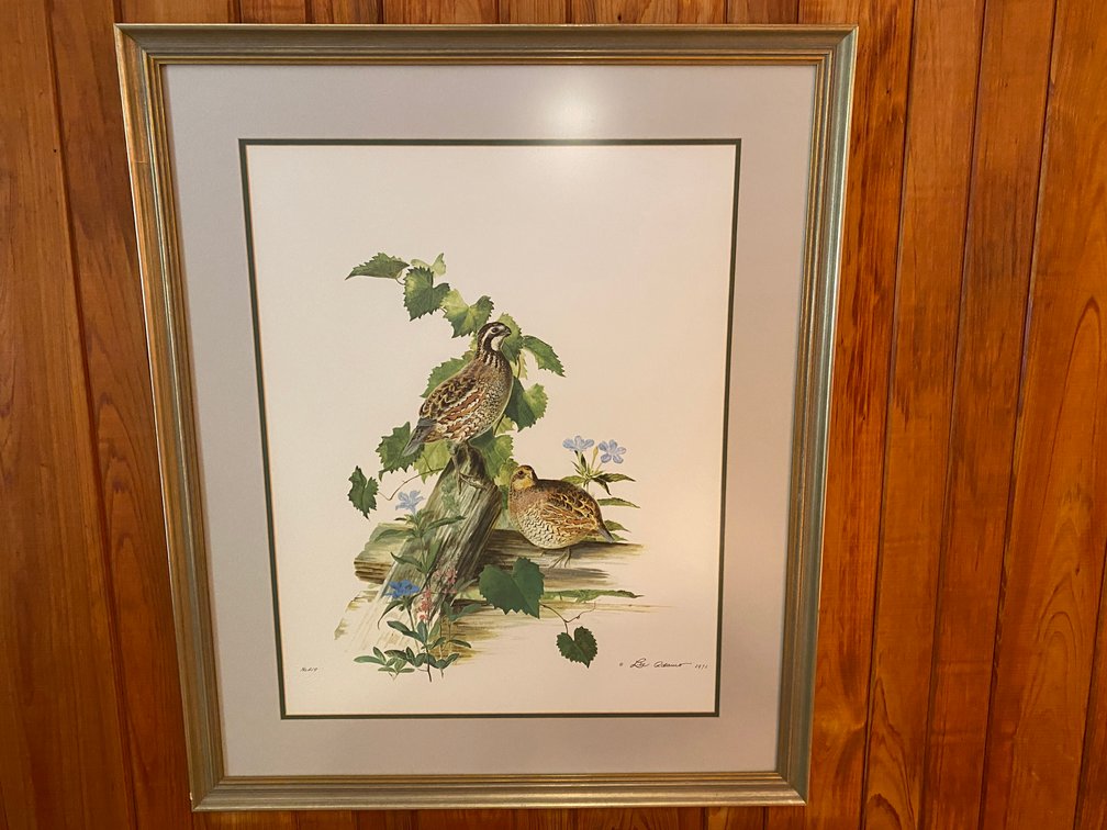 Framed And Matted Quail Print By Lee Adams, 1971