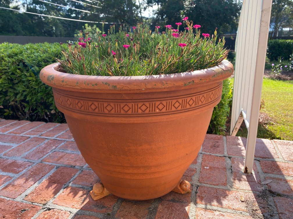 Terra Cotta Outdoor Planter
