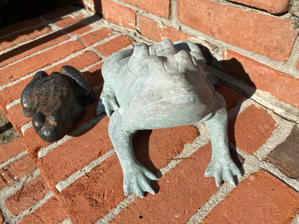 (2) Cement Garden Frogs