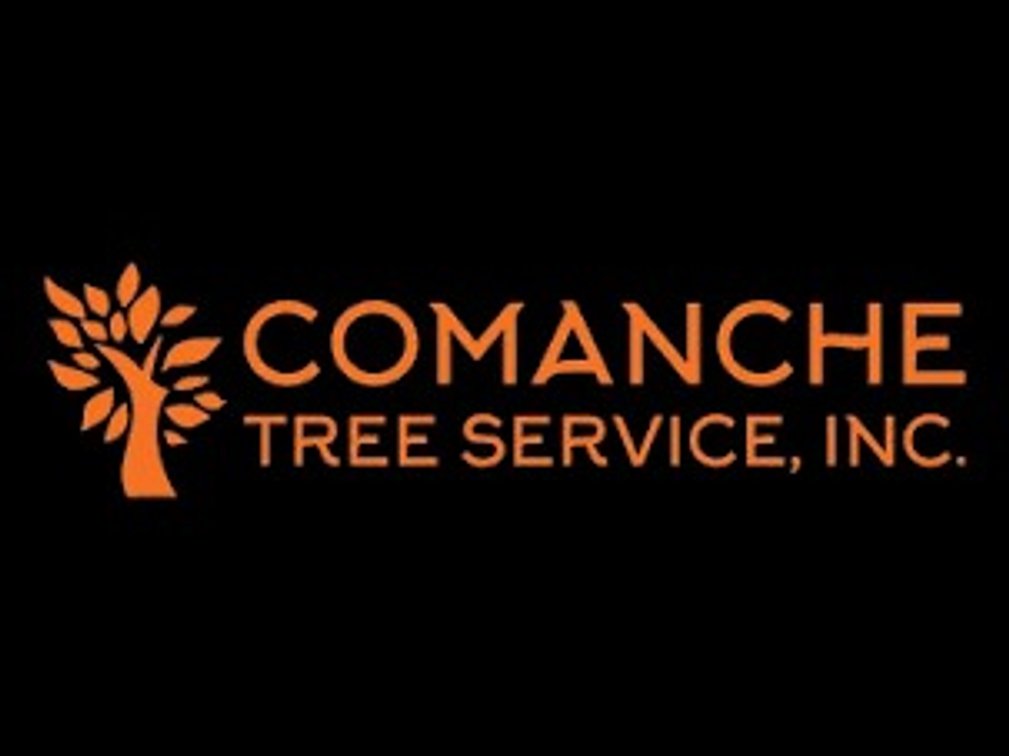 One tree removal up to $1500 value