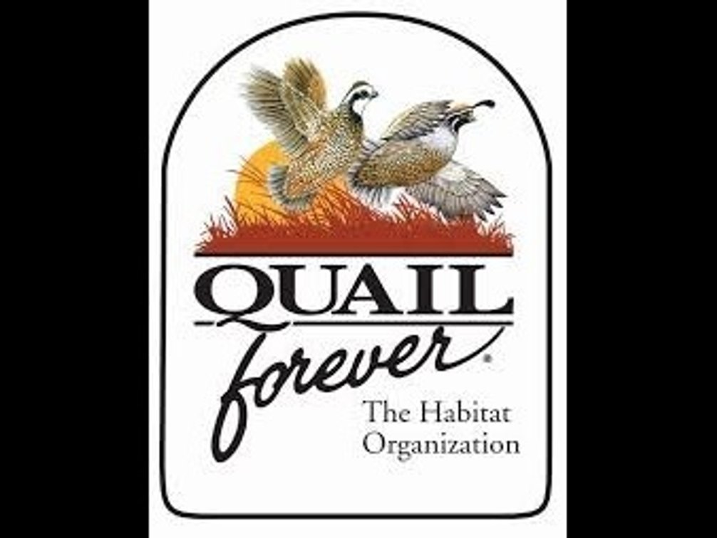 Georgia Quail Invitational for 2