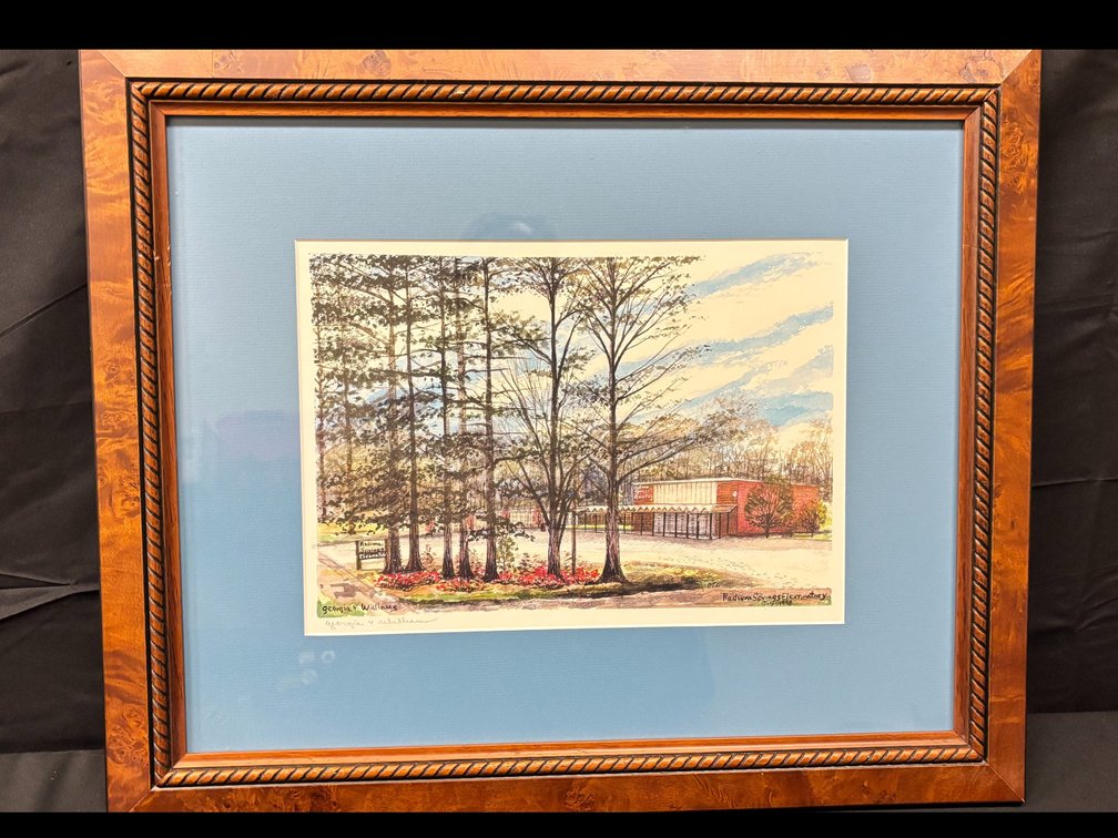 Radium Springs Elementary School Burl Wood Framed Print by Georgia Williams