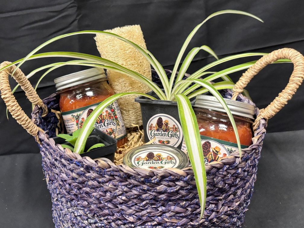 Garden Girls Basket of Salsa and goodies