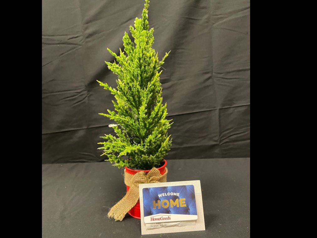 $25 Homegoods Gift Card with mini lit Christmas tree