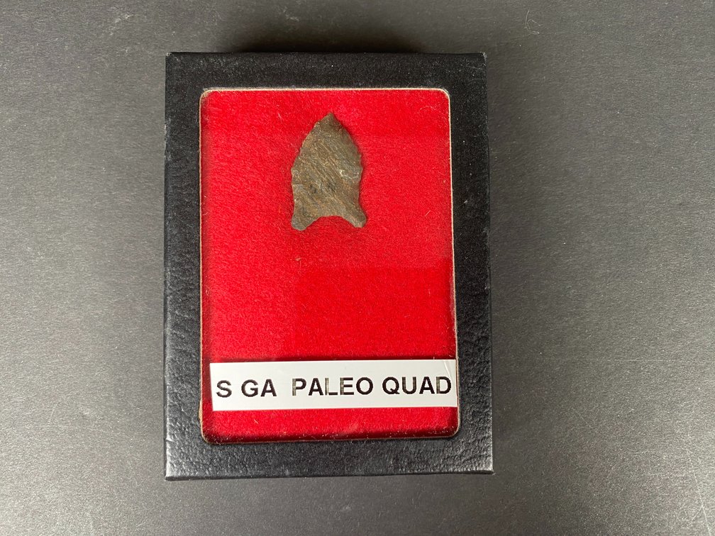 South Georgia Paleo Point in Case