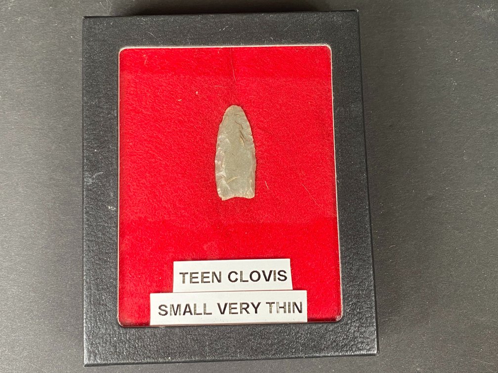 Teen Clovis in Case