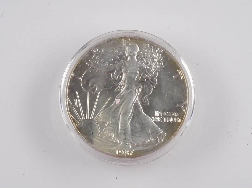 1987 American Eagle .999 Silver