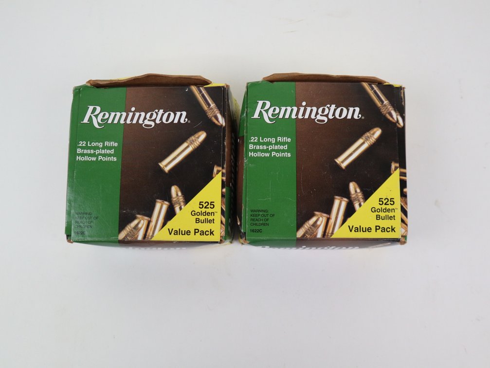 (1050) Rounds Remington .22 Long Rifle Brass-Plated Hollow Points (2 Boxes)