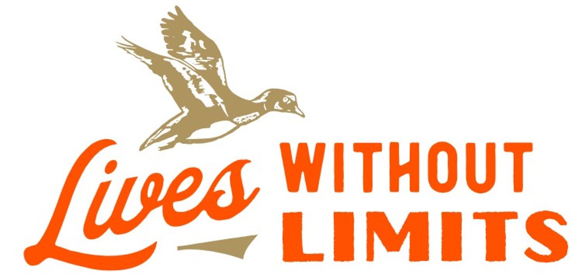 Image for Lives WIthout Limits 2025 Black Friday Fun Auction