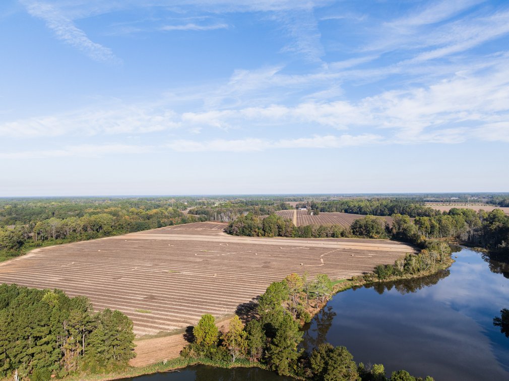 Image for The Redfearn Estate - Sealed Bid Auction