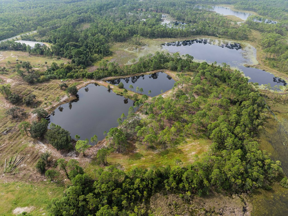 Image for 61± Acres on Coastal Hwy – Panacea, FL – Gateway to the Gulf Coast