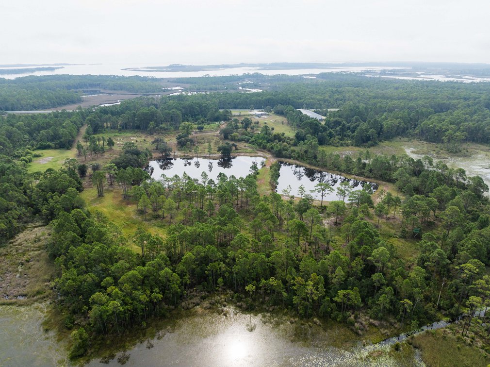 Image for 61± Acres on Coastal Hwy – Panacea, FL – Gateway to the Gulf Coast