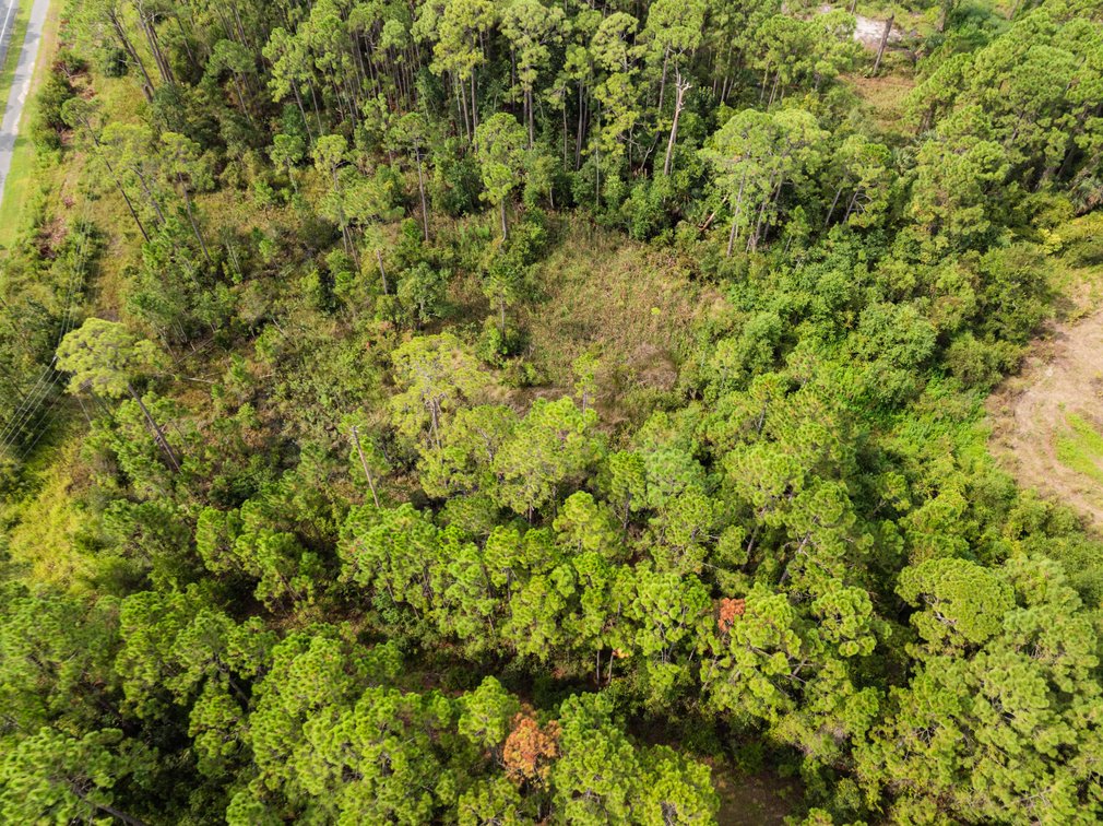 Image for 61± Acres on Coastal Hwy – Panacea, FL – Gateway to the Gulf Coast