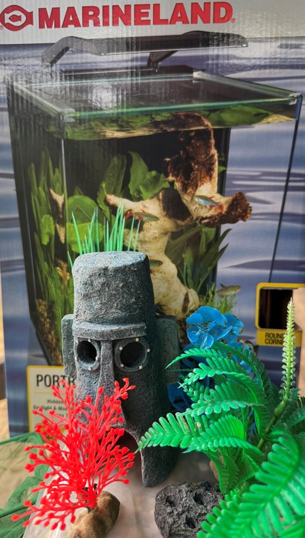 Aquarium and Accessories