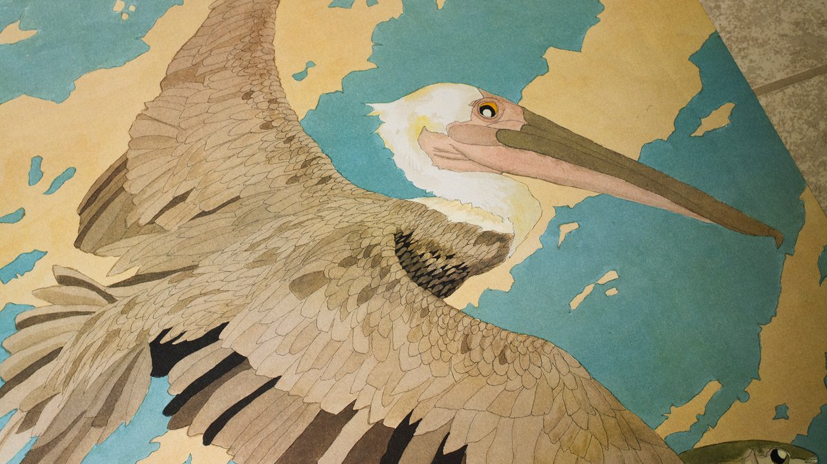 Pelican Signed Giclee Print 35"x24.5