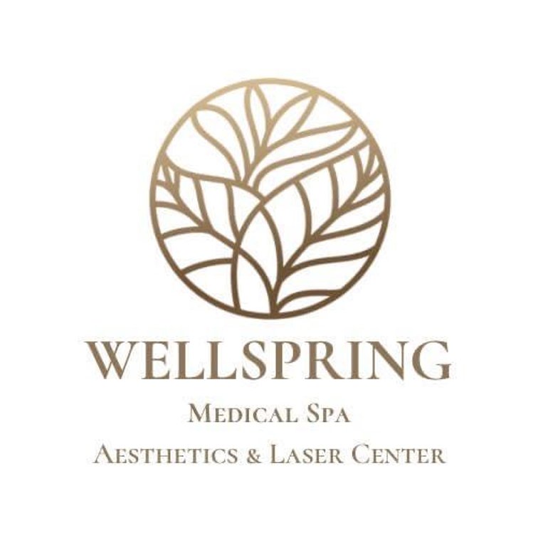 10 Visits to Infrared Sauna at Wellspring Medical Spa & Aesthetics