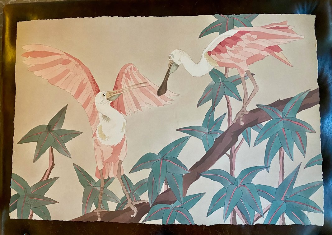 Roseate Spoonbills Limited Edition Signed Print —by Dan Goad  34"x22" in perfect condition