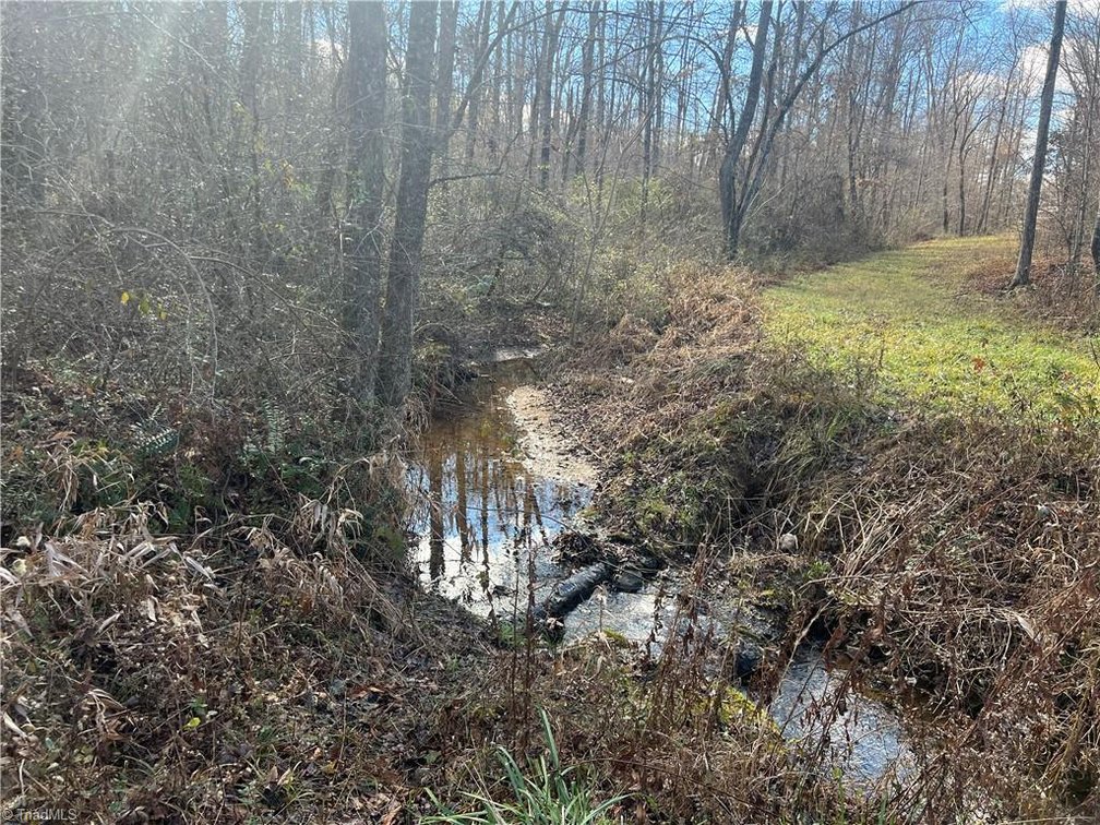 Image for Land For Sale in Dobson - 0 Main Street