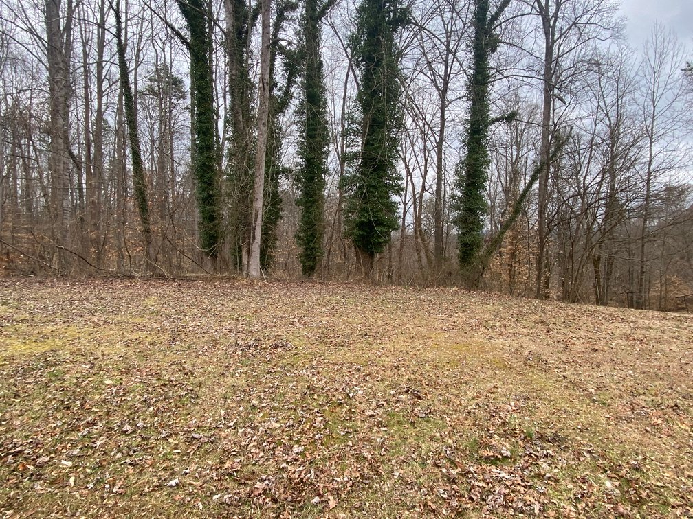 Image for Gordon Hall Estate - 3 Bedroom Home with Bonus Lot in Elkin, NC