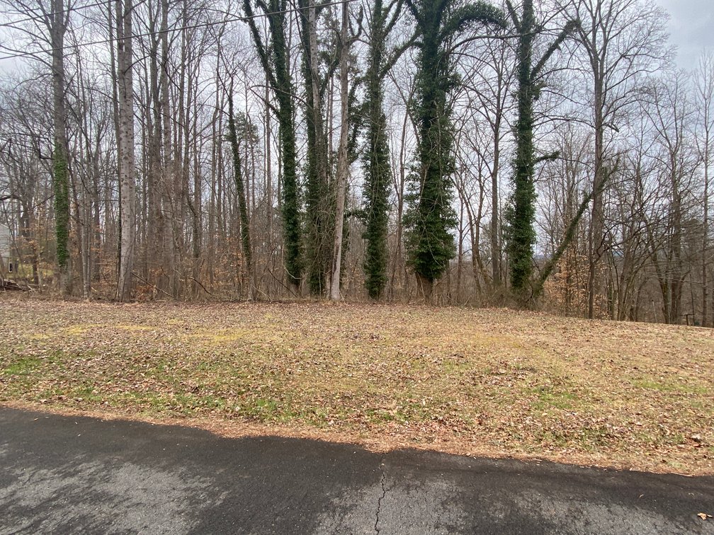 Image for Gordon Hall Estate - 3 Bedroom Home with Bonus Lot in Elkin, NC