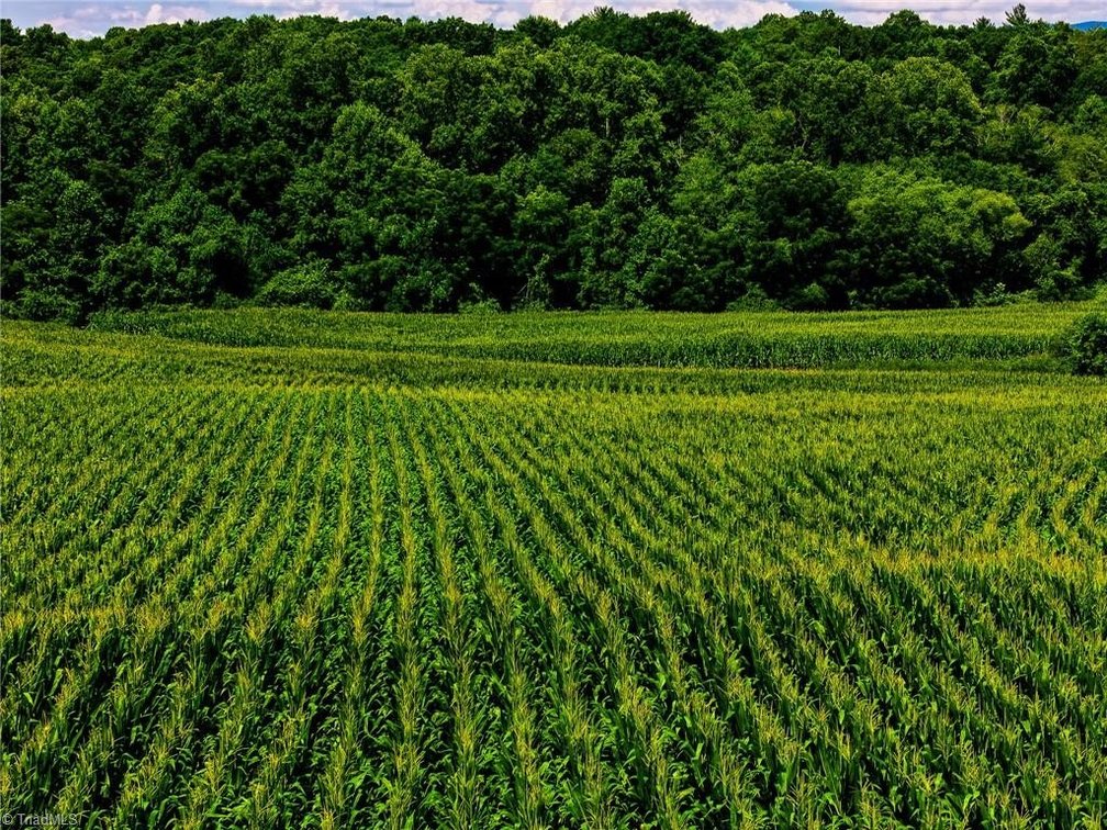 Image for Land For Sale in Sate Road - 360 Mountain Park Road