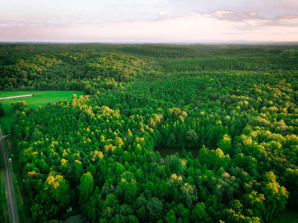 Image for Land For Sale in Dobson - 00 Fisher Valley Road