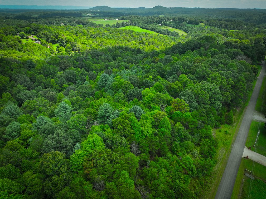 Image for Land For Sale in Dobson - 000 Arthur Haney Road