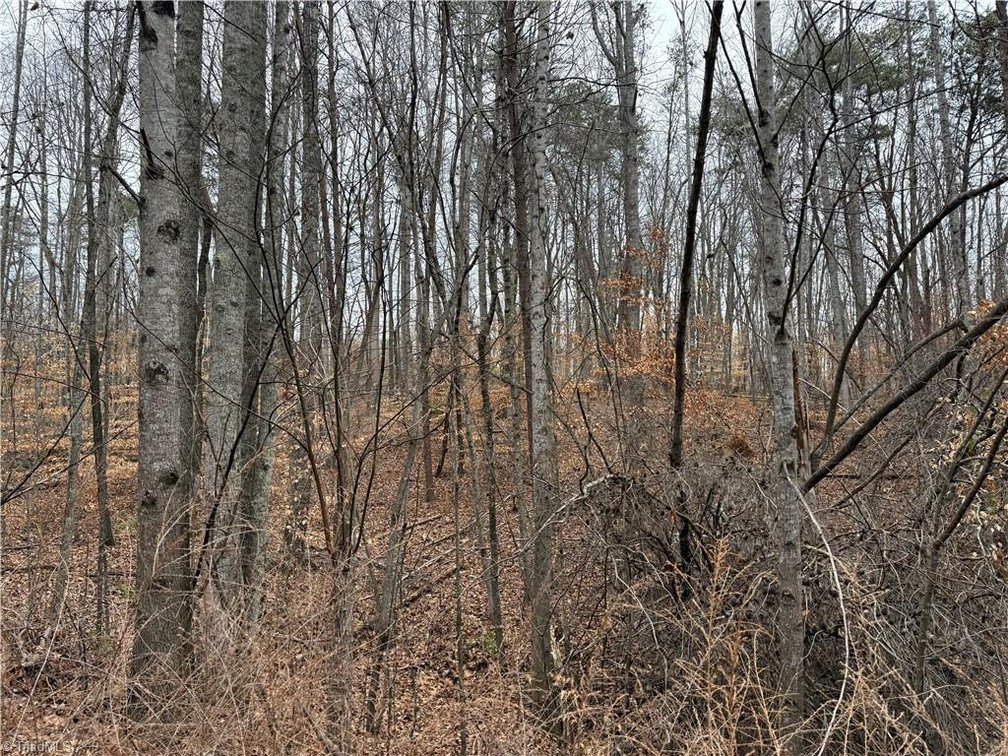 Image for Land For Sale in Pinnacle - Lot# 40 Creekside Way Road