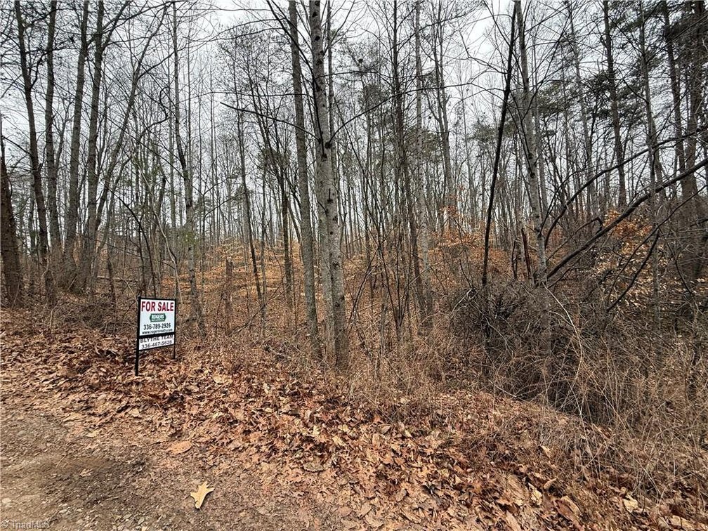 Image for Land For Sale in Pinnacle - Lot# 40 Creekside Way Road