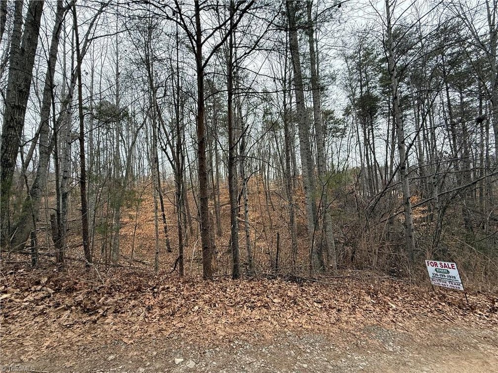 Image for Land For Sale in Pinnacle - Lot# 40 Creekside Way Road