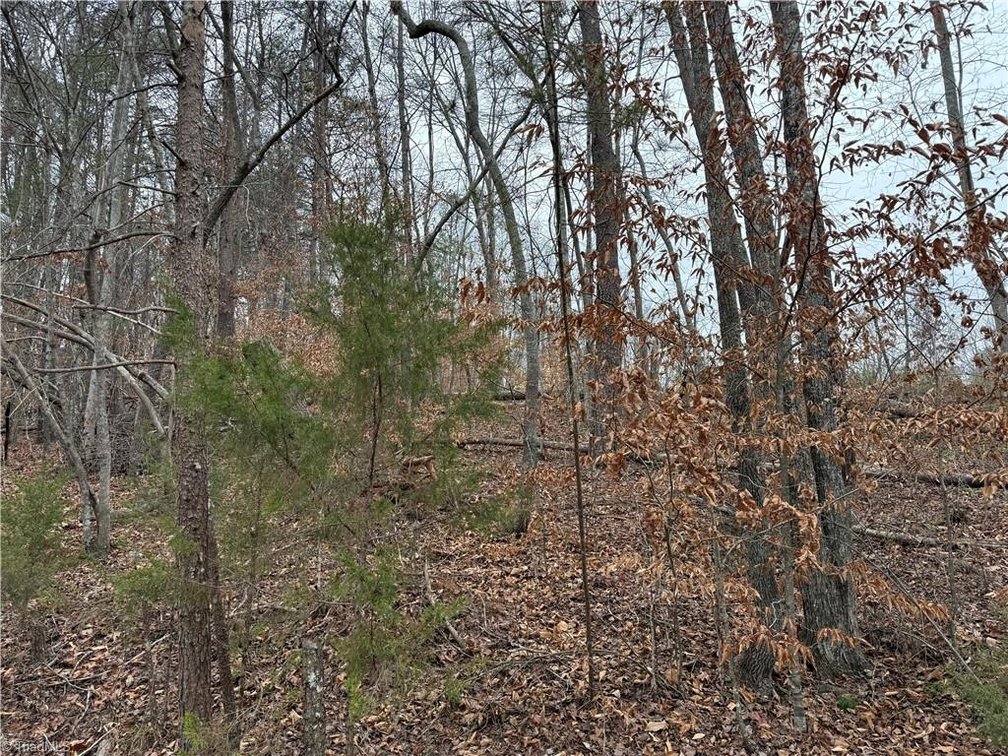 Image for Land For Sale in Pinnacle - Lot# 40 Creekside Way Road
