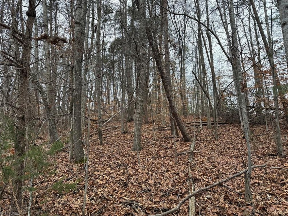 Image for Land For Sale in Pinnacle - Lot# 40 Creekside Way Road