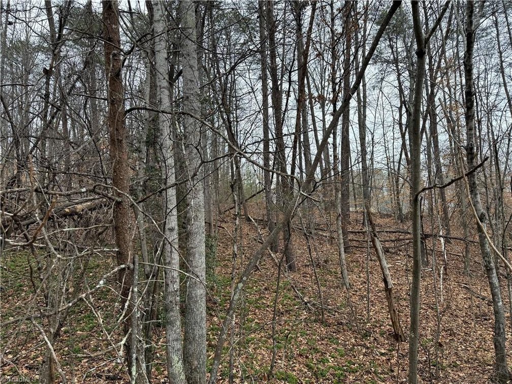 Image for Land For Sale in Pinnacle - Lot# 40 Creekside Way Road