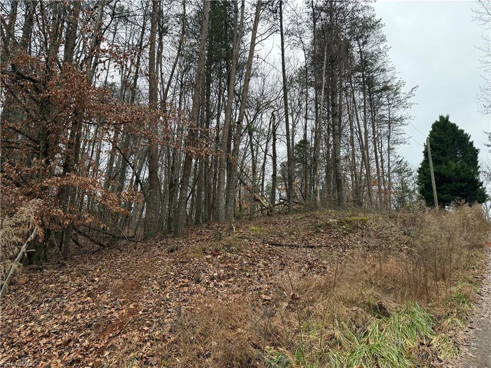 Image for Land For Sale in Pinnacle - Lot# 44 Creekside Way Road