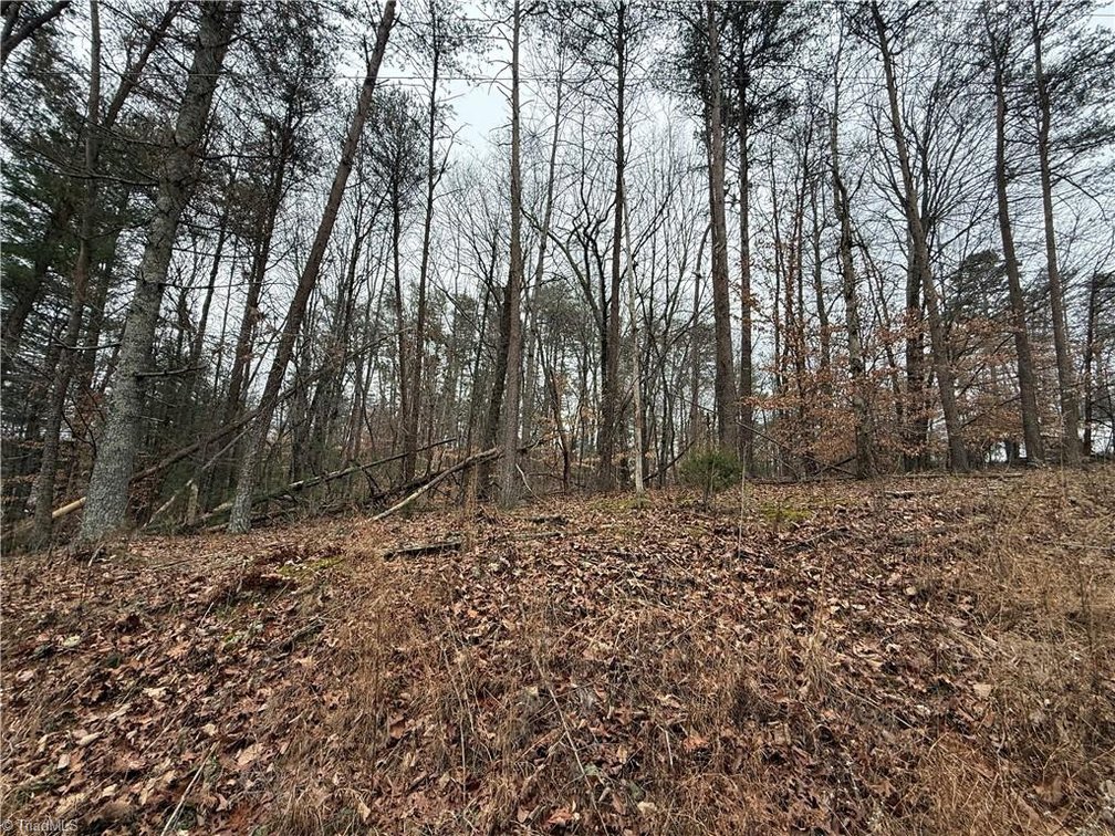 Image for Land For Sale in Pinnacle - Lot# 44 Creekside Way Road