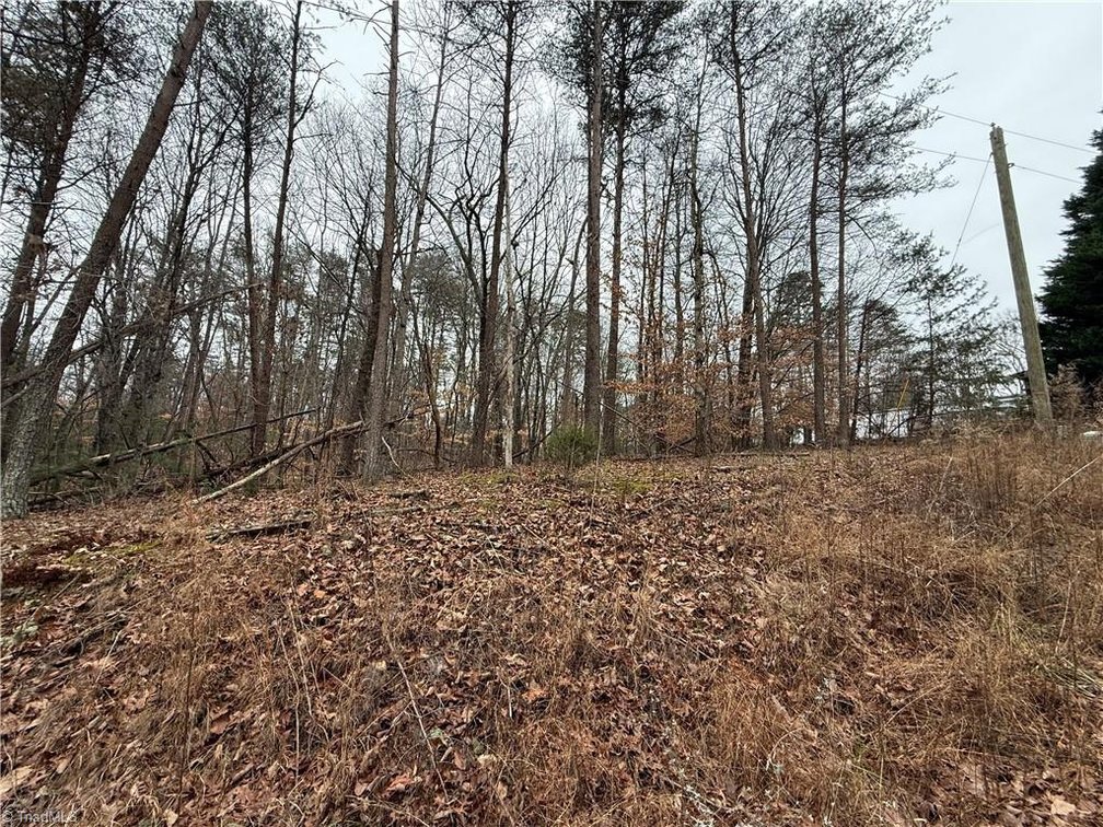 Image for Land For Sale in Pinnacle - Lot# 44 Creekside Way Road
