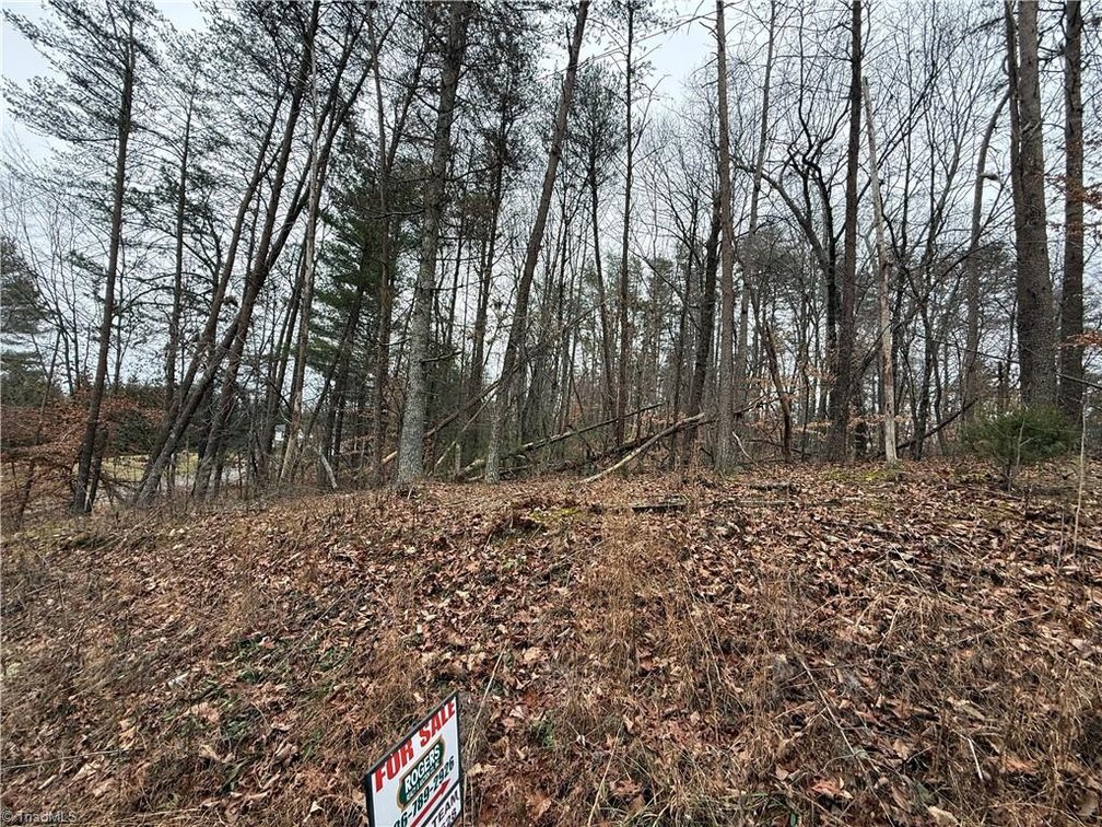 Image for Land For Sale in Pinnacle - Lot# 44 Creekside Way Road