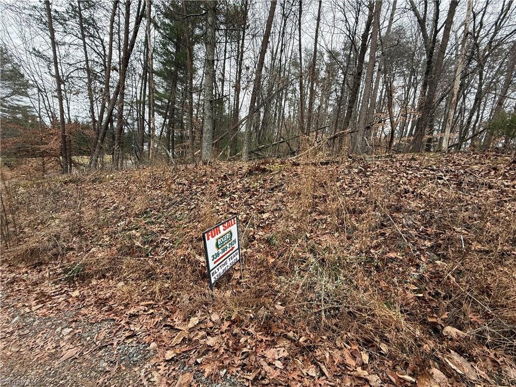 Image for Land For Sale in Pinnacle - Lot# 44 Creekside Way Road