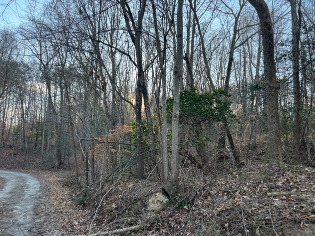 Land For Sale in Mount Airy - 0000 Lynnhaven Road