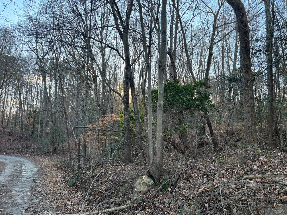 Image for Land For Sale in Mount Airy - 0000 Lynnhaven Road