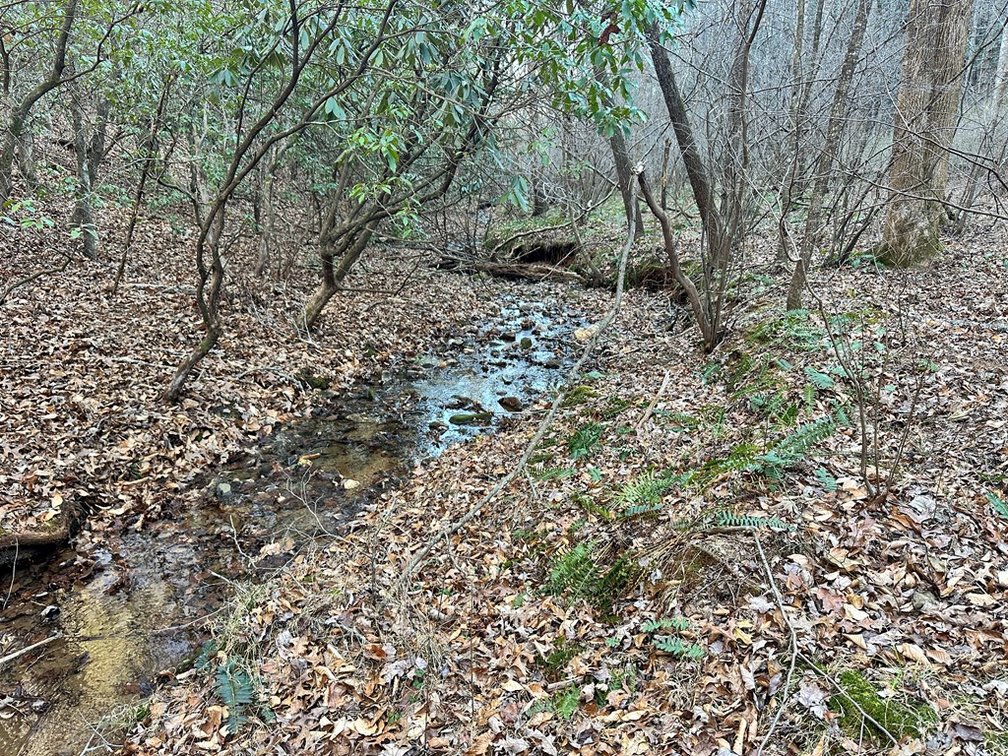 Image for Land For Sale in Ararat, Virginia - TBD Mitchells Mill
