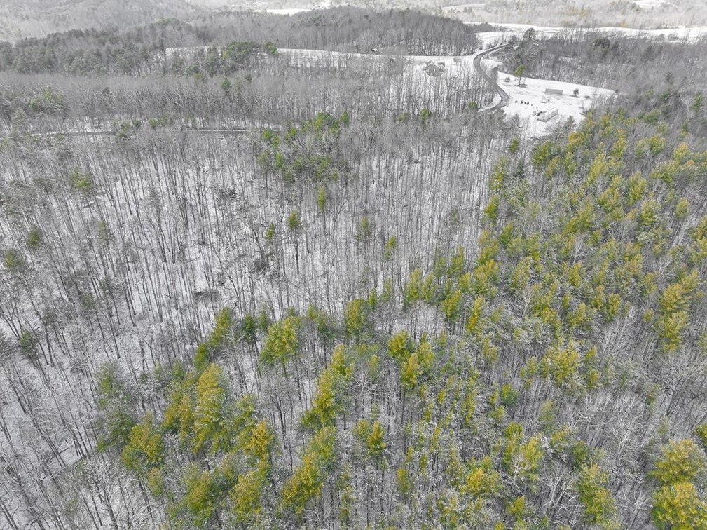 Image for Land For Sale in Ararat, Virginia - TBD Mitchells Mill